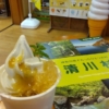 食べて清川！　『道の駅　清川』期間限定の”きよかわ青梅サンデー”を食す。